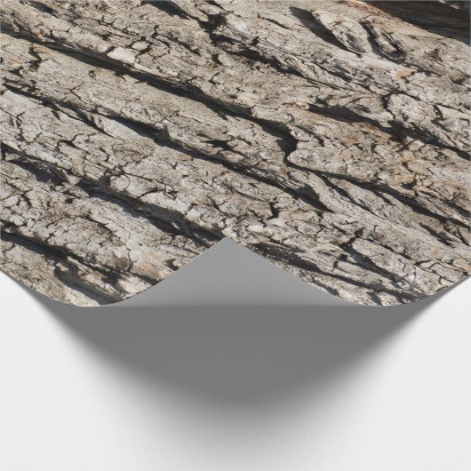 Altes Baumuster Geschenkpapier (Ecke)