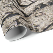 Altes Baumuster Geschenkpapier (Rolleneckpunkt)