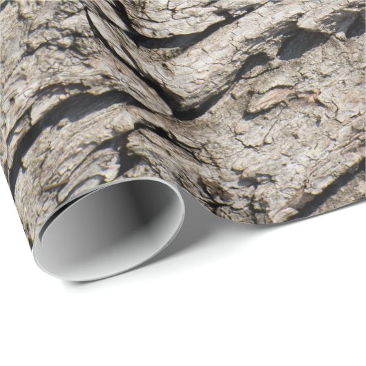 Altes Baumuster Geschenkpapier (Rolleneckpunkt)