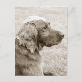 Altes Blau Postkarte