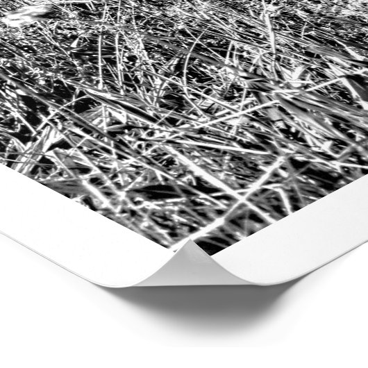 Altes blaues Auto im Grasfeld Poster (Ecke)