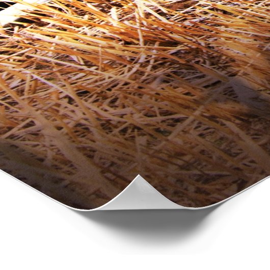 Altes blaues Boot Poster (Ecke)