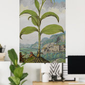 Altes botanisches Art Solomons Siegel Poster (Heimbüro)