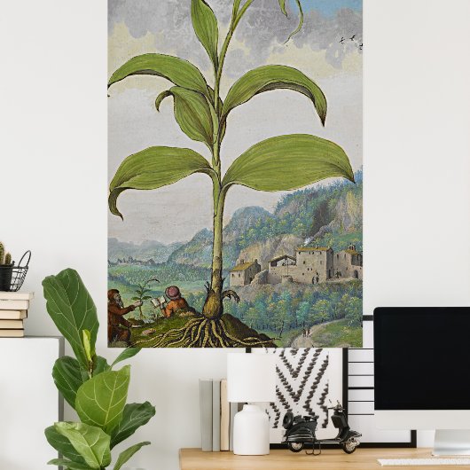Altes botanisches Art Solomons Siegel Poster (Heimbüro)