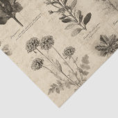 Altes Botanisches Blumenmuster (11) Seidenpapier (Detail)