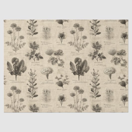 Altes Botanisches Blumenmuster (11) Seidenpapier (Vorderseite)
