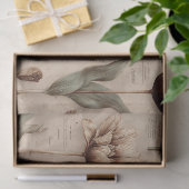 Altes Botanisches Blumenmuster (6) Seidenpapier (Geschenk)