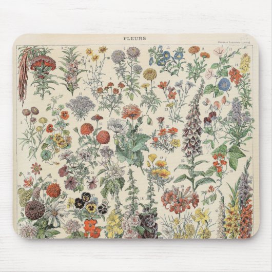 Altes Botanisches Muster Mousepad (Vorne)