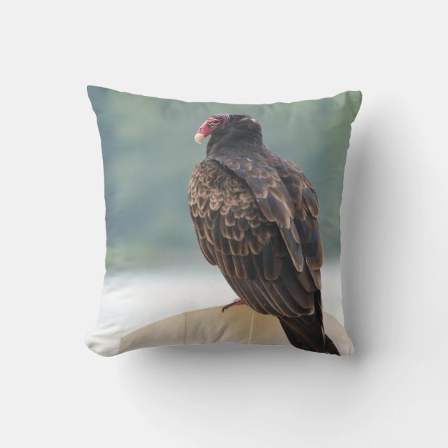 Altes Buzzard-Kissen Kissen (Vorderseite)
