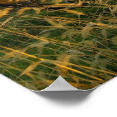 Altes Cannon in Antietam Poster (Ecke)
