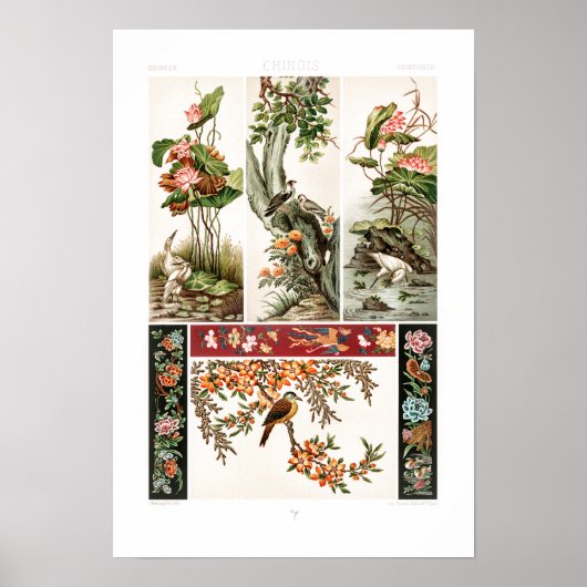 Altes chinesisches Muster von Albert Racinet Poster (Vorne)