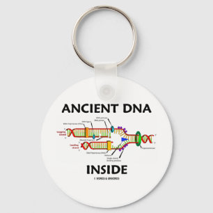 Altes DNA-Innere (DNA-Reproduktions-Spaß) Schlüsselanhänger