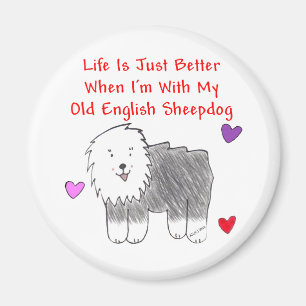 Altes englisches Schäferhund-Leben ist gerade Magnet