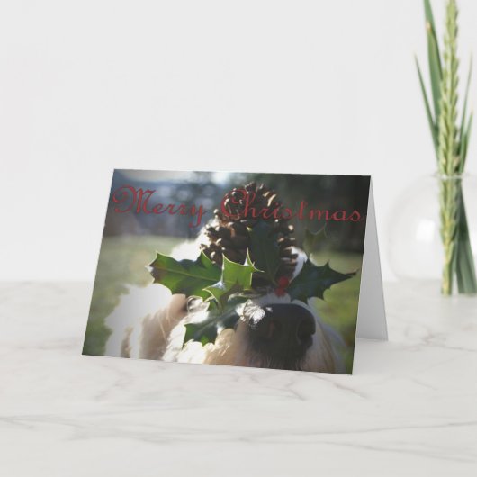 Altes englisches Schäferhund-Weihnachten Feiertagskarte (Vorderseite)