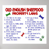 ALTES ENGLISCHES SCHEEPDOG PL2 POSTER (Vorne)