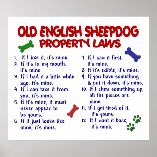 ALTES ENGLISCHES SCHEEPDOG PL2 POSTER (Vorne)