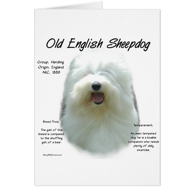 Altes englisches Sheepdog-Geschichtsdesign (Vorne)