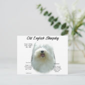 Altes englisches Sheepdog-Geschichtsdesign Postkarte (Stehend Vorderseite)
