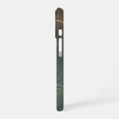 Altes Flussdelta iPhone 16 Hülle (Linke Seite)