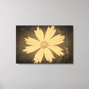 Altes Foto Gelbe Kosmosblume Nahaufnahme Leinwanddruck