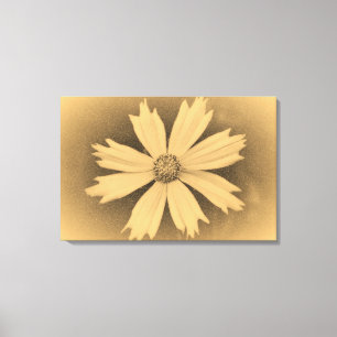 Altes Foto Gelber Kosmos Blume Nah-up 3 Leinwanddruck