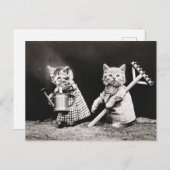 Altes Foto von Gärtner-Katzen Postkarte (Vorne/Hinten)