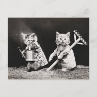 Altes Foto von Gärtner-Katzen