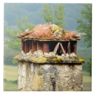 Altes französisches Chimney Keramik Foto Tile Fliese