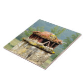 Altes französisches Chimney Keramik Foto Tile Fliese (Seite)