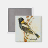 Altes handgezeichnet Bobolink Bird Magnet (Vorderseite/Rückseite)