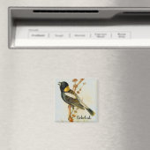 Altes handgezeichnet Bobolink Bird Magnet (In Situ (Geschirrspüler))