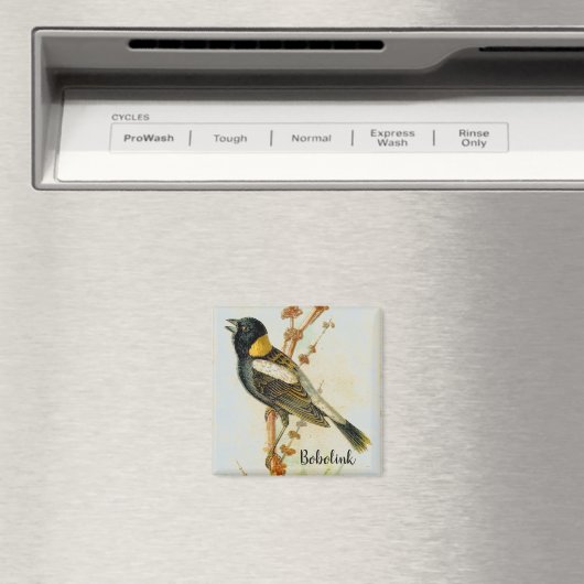 Altes handgezeichnet Bobolink Bird Magnet (In Situ (Geschirrspüler))