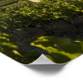 Altes Haus im Comtat Venaissin, Vaucluse, Poster (Ecke)