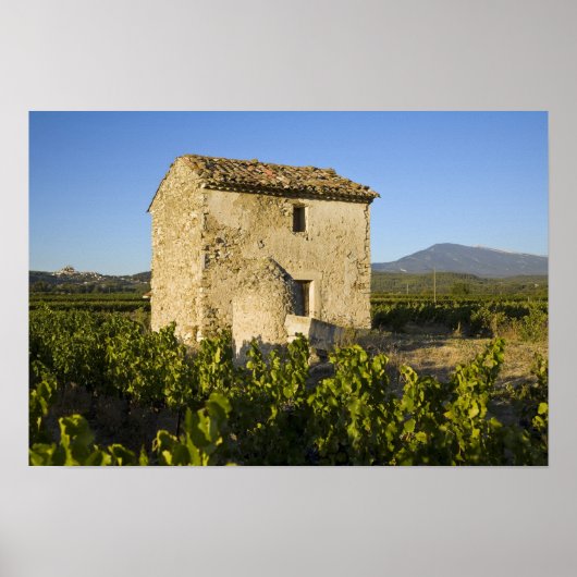 Altes Haus im Comtat Venaissin, Vaucluse, Poster (Vorne)