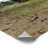 Altes Haus Poster (Ecke)