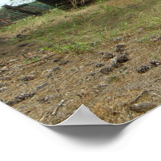 Altes Haus Poster (Ecke)