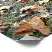 Altes Heuwakposter Poster (Ecke)