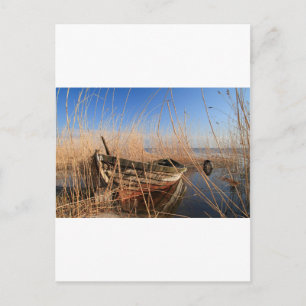 Altes Holzboot in Schilf Postkarte