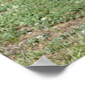 Altes Holzhaus Poster (Ecke)