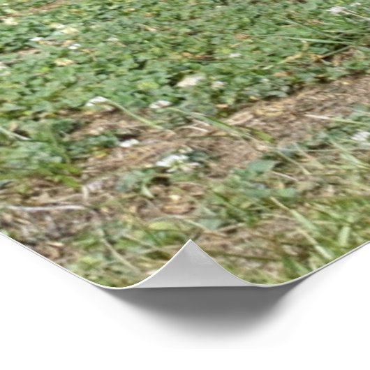 Altes Holzhaus Poster (Ecke)