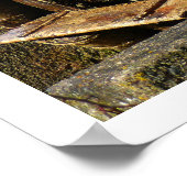 Altes Holzrad Poster (Ecke)