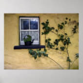 altes irisches Fensterposter Poster (Vorne)