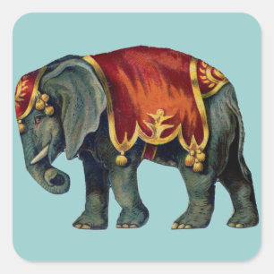 Altes Iustração des Zirkus-Elefanten Quadratischer Aufkleber