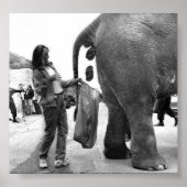 Altes Jobposter Poster (Vorne)