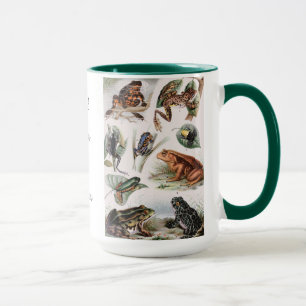 Altes Katalog von Fröschen für Tierliebhaber Tasse
