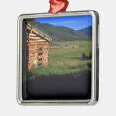 Altes Klotzgehöft nahe Park City, Utah. (P.R.) Silbernes Ornament (Links)