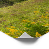 Altes Land Barn Foto Poster (Ecke)