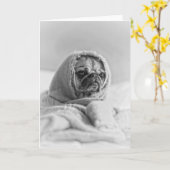 Altes Land Mops Karte (Gelbe Blume)