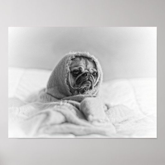 Altes Land Mops Poster (Vorne)