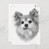 Altes, langhaariges Chihuahua Handgemalte Kunstwer Postkarte (Vorne/Hinten)